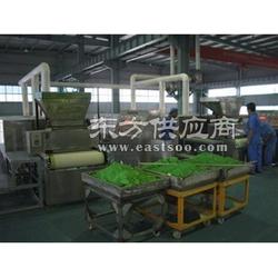 一步供應脫水蔬菜帶式干燥機