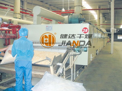 DWD系列帶式干燥機：高效果蔬烘干解決方案